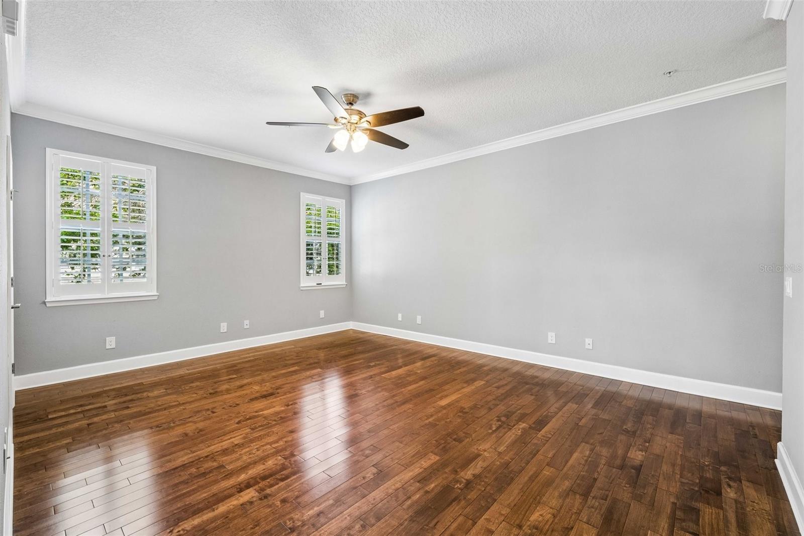 2613 Espana, Tampa, FL 33609