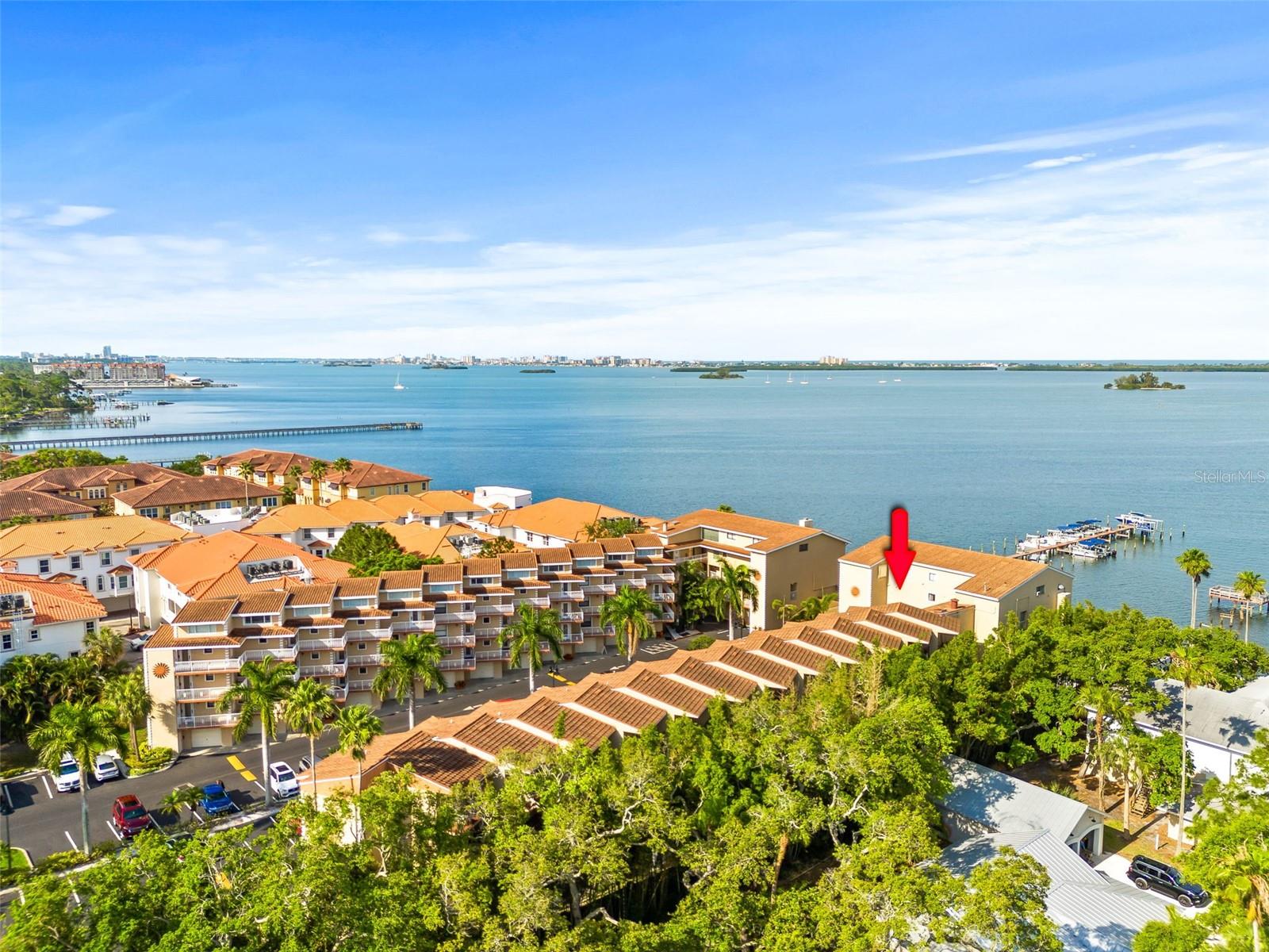 1420 Bayshore Unit 206, Dunedin, FL 34698