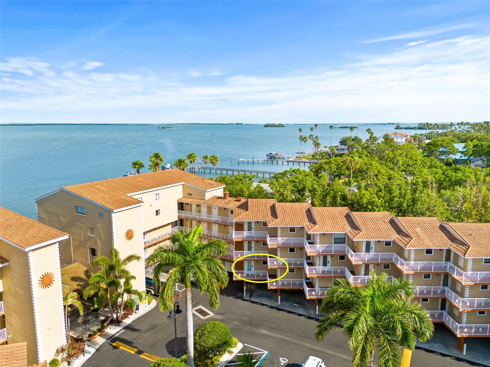 1420 Bayshore Unit 206, Dunedin, FL 34698