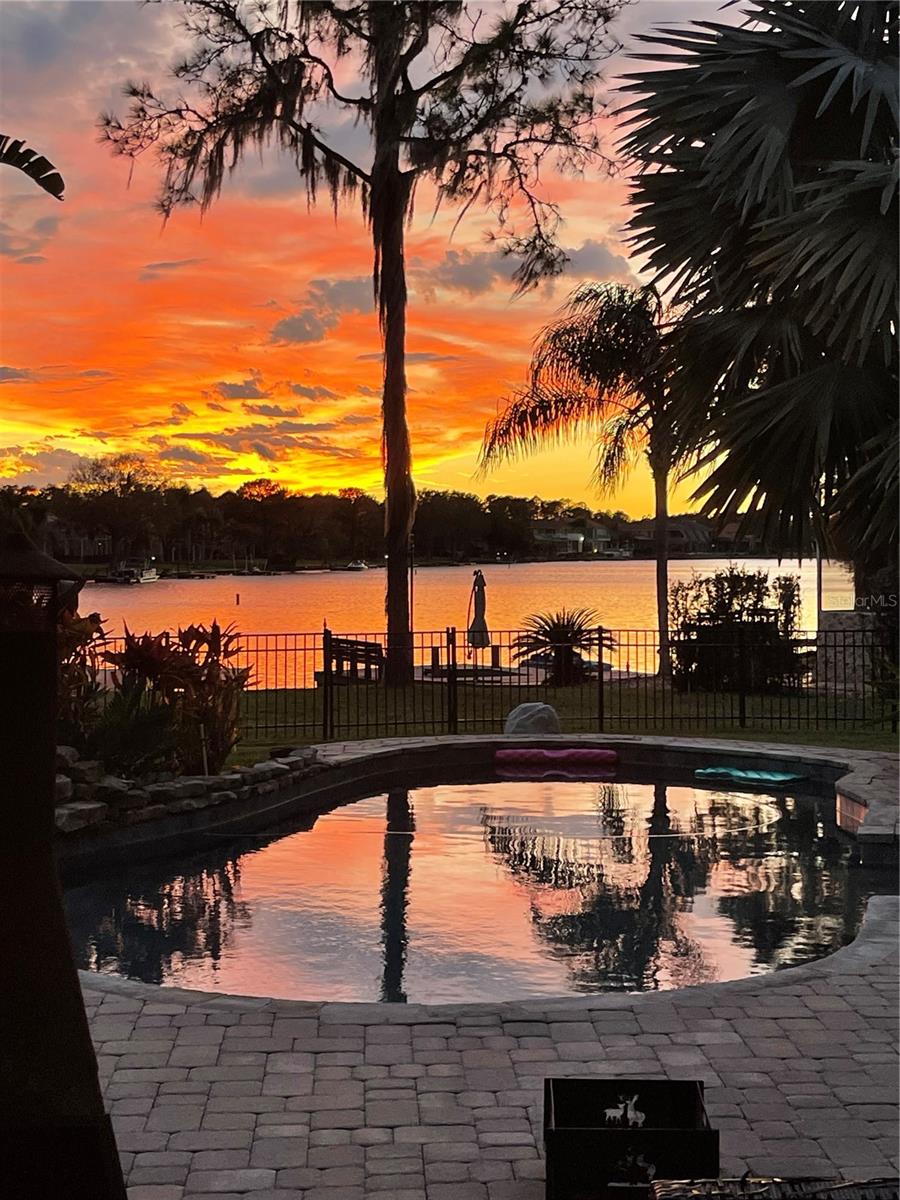 17802 Saint Lucia Isle, Tampa, FL 33647
