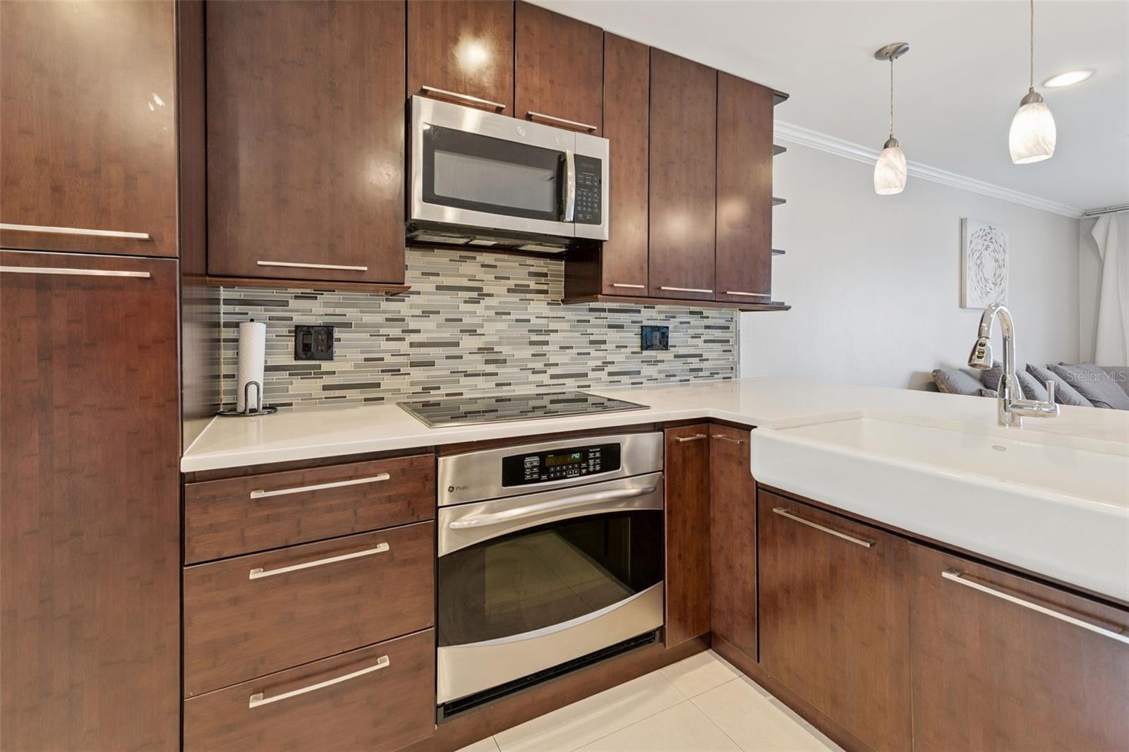 4779 Coquina Key, St Petersburg, FL 33705