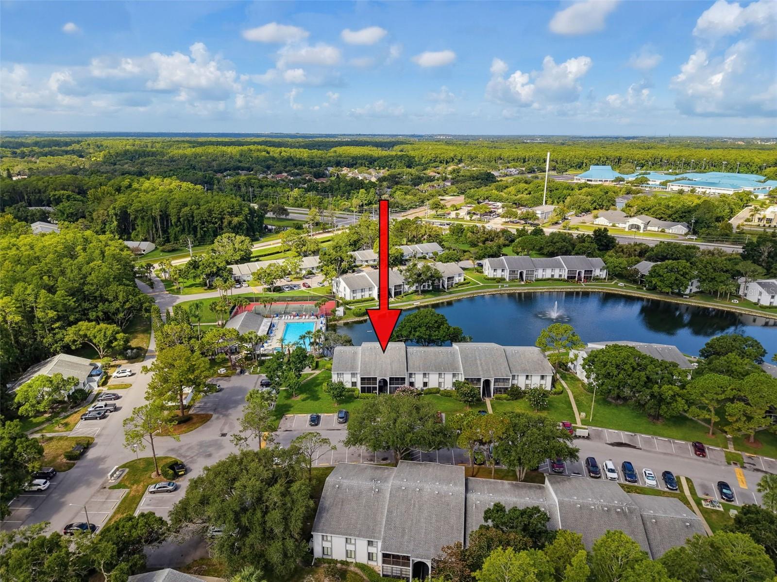 1261 Pine Ridge Unit D1, Tarpon Springs, FL 34688