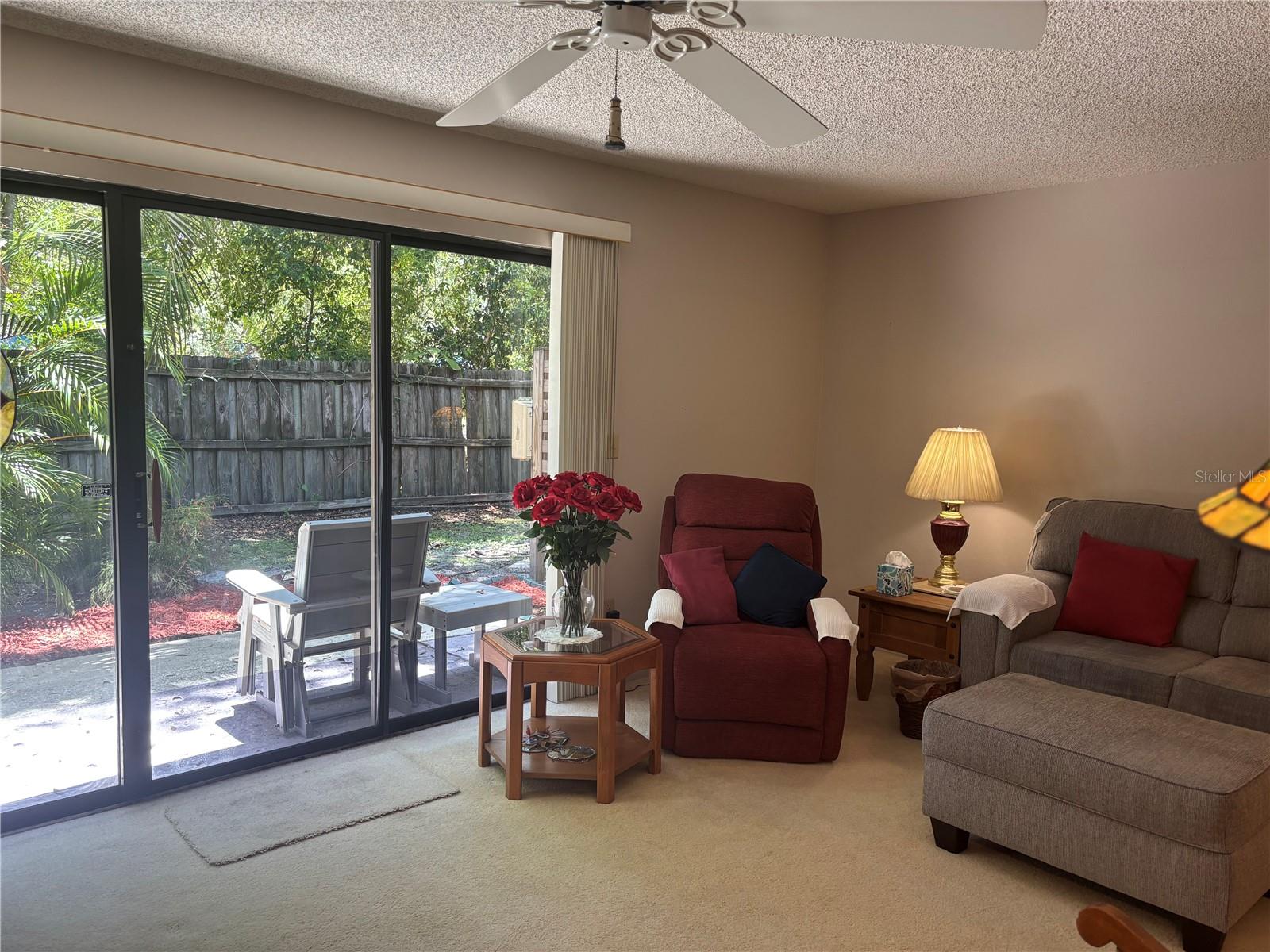 1515 Bayshore Unit 26, Dunedin, FL 34698