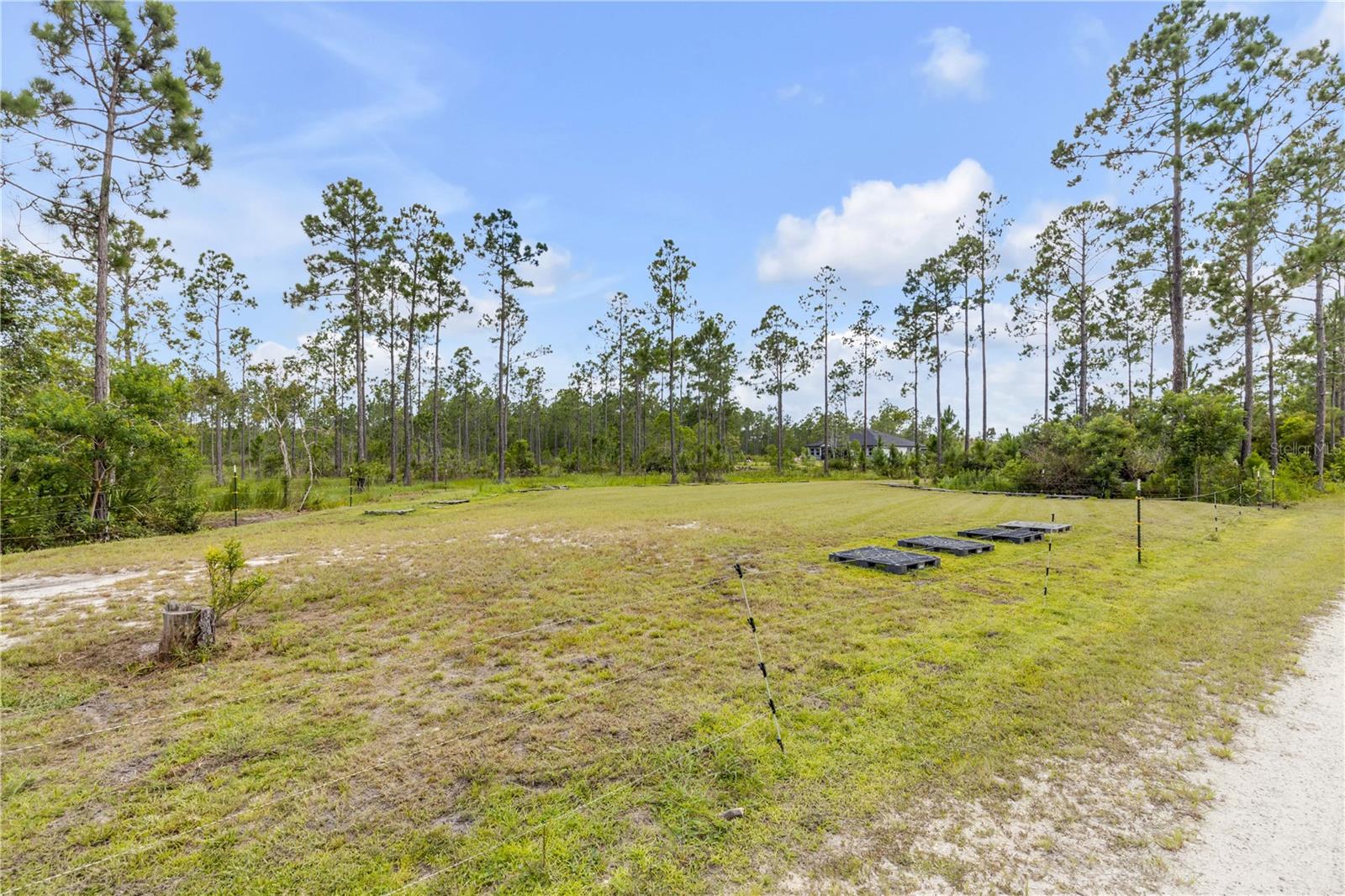 300 Omega Ranch, New Smyrna Beach, FL 32168