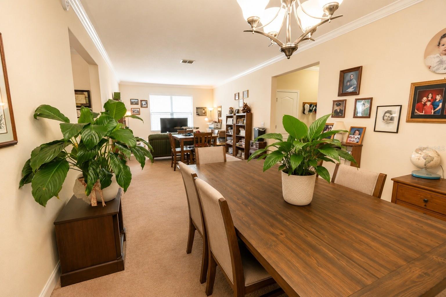 13842 Bee Tree, Hudson, FL 34669