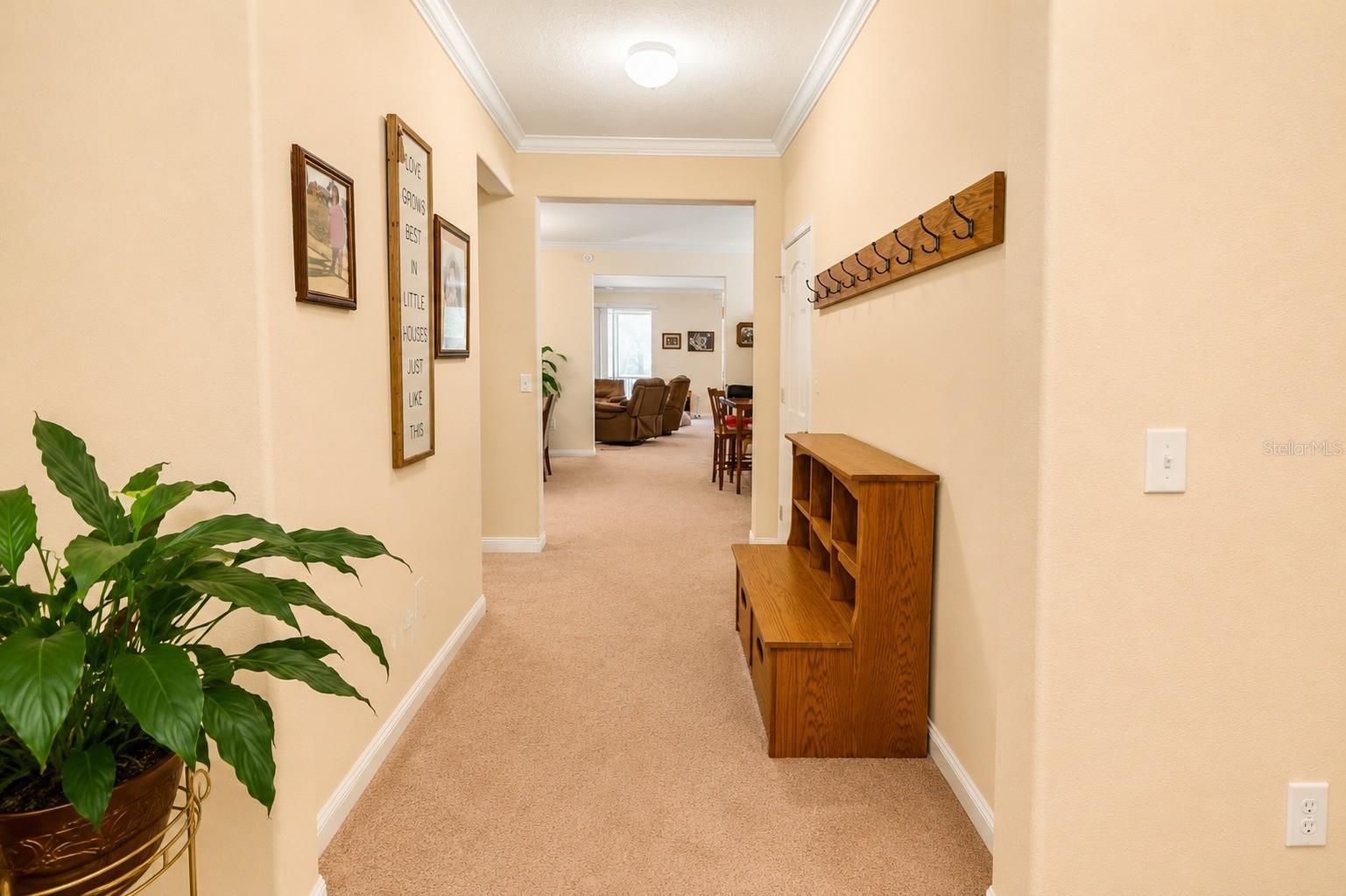 13842 Bee Tree, Hudson, FL 34669