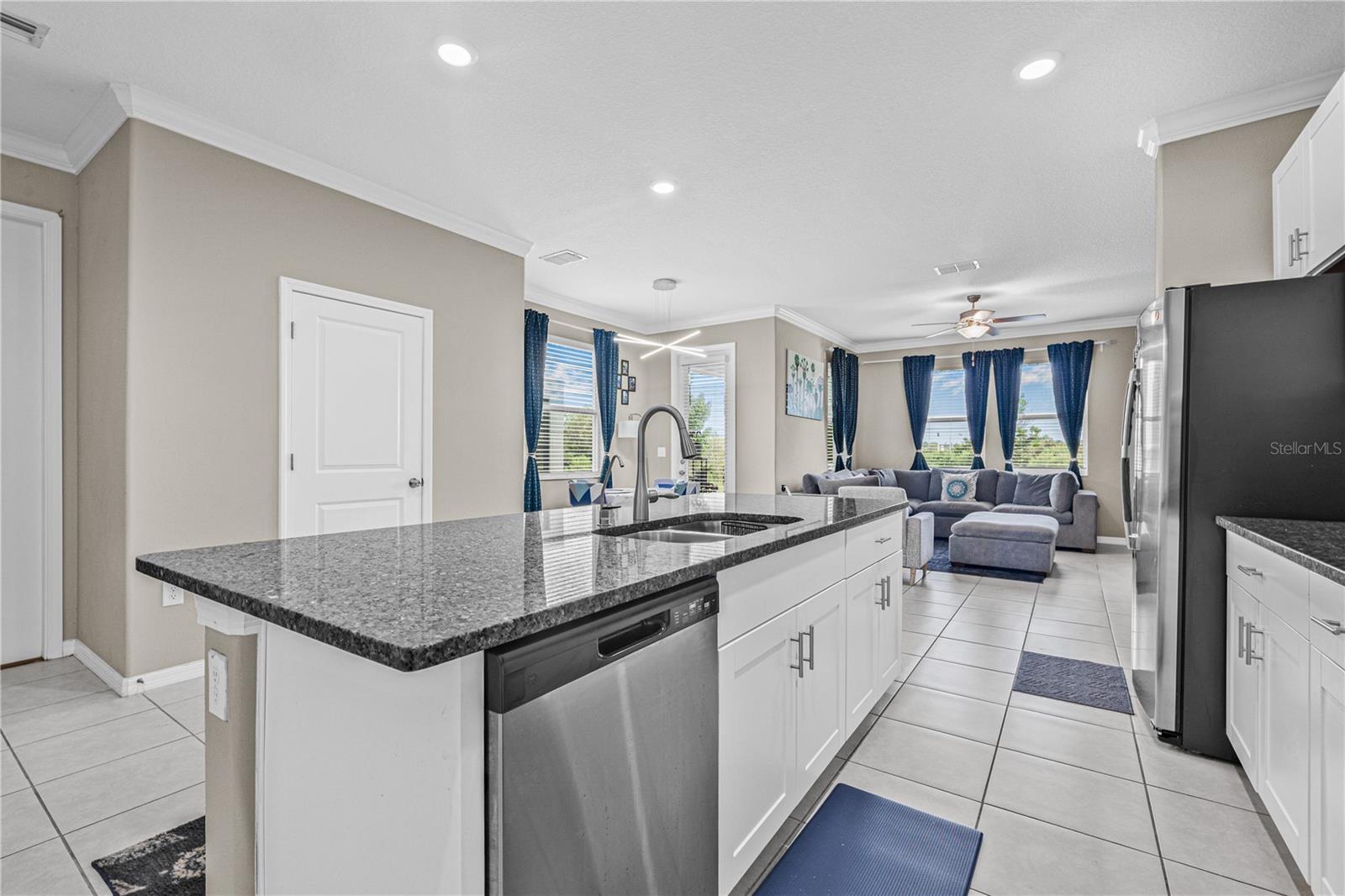 31603 Blue Passing, Wesley Chapel, FL 33545