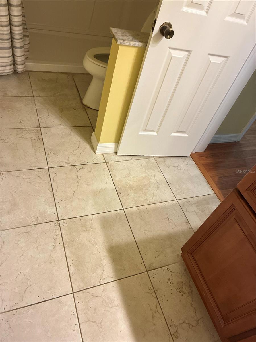 2968 Flint, Clearwater, FL 33759