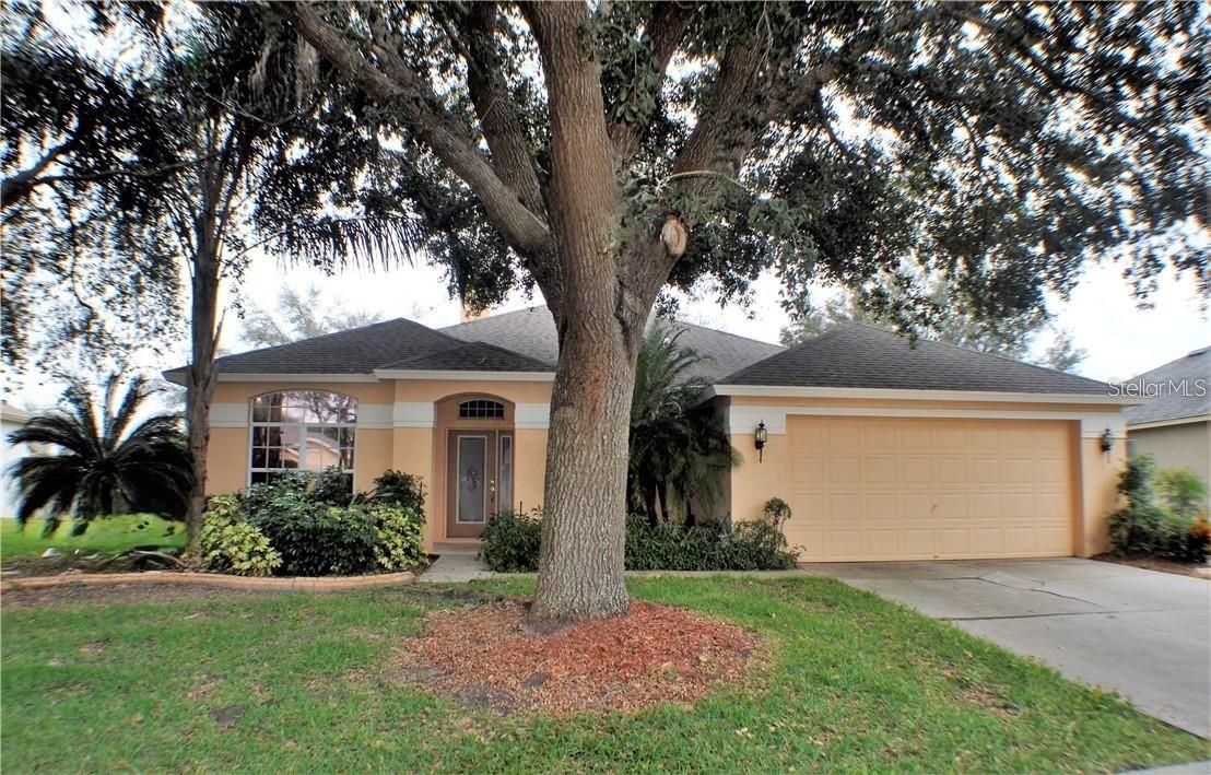 3806 Triple Jump, Valrico, FL 33596