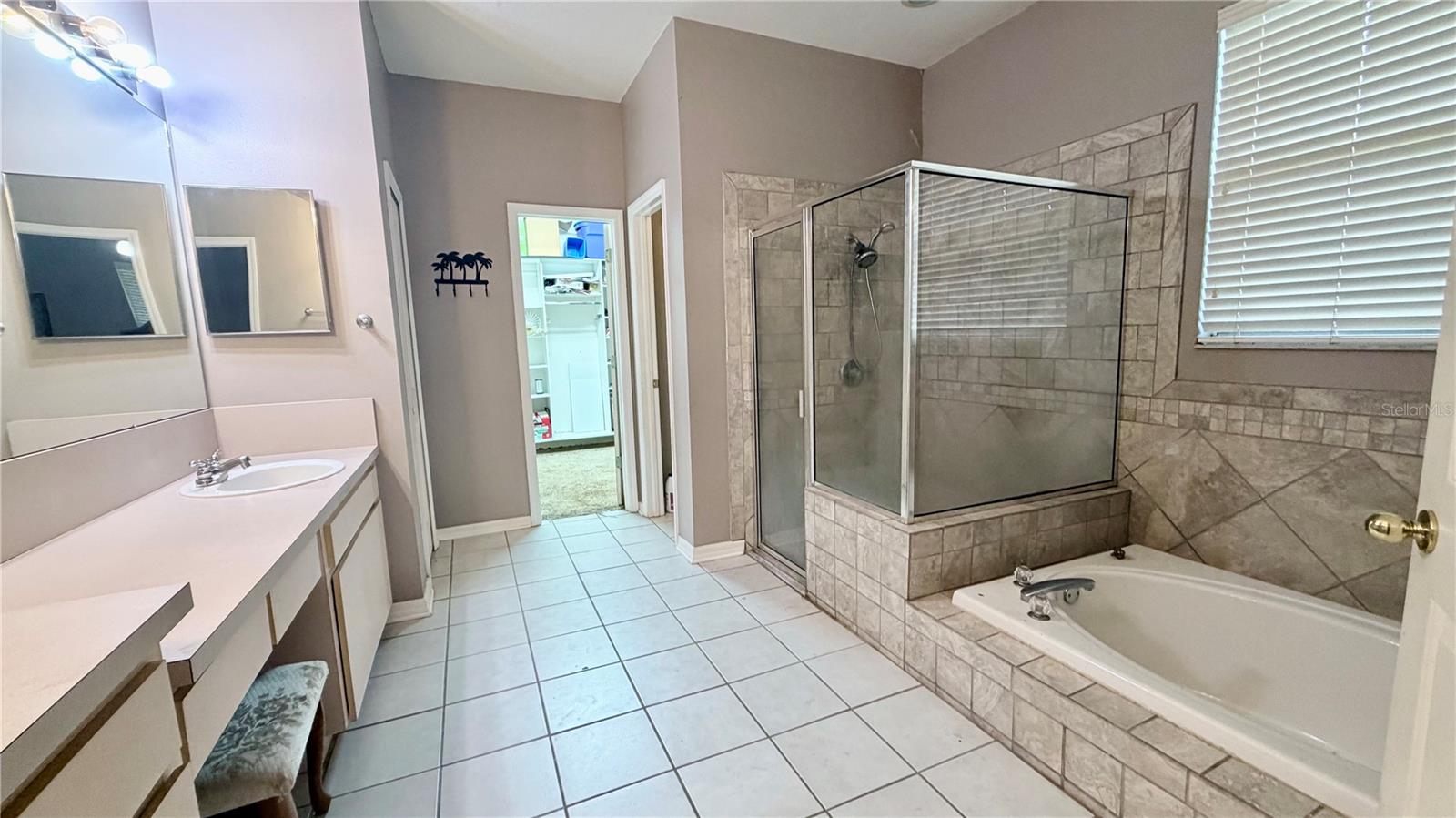 3806 Triple Jump, Valrico, FL 33596