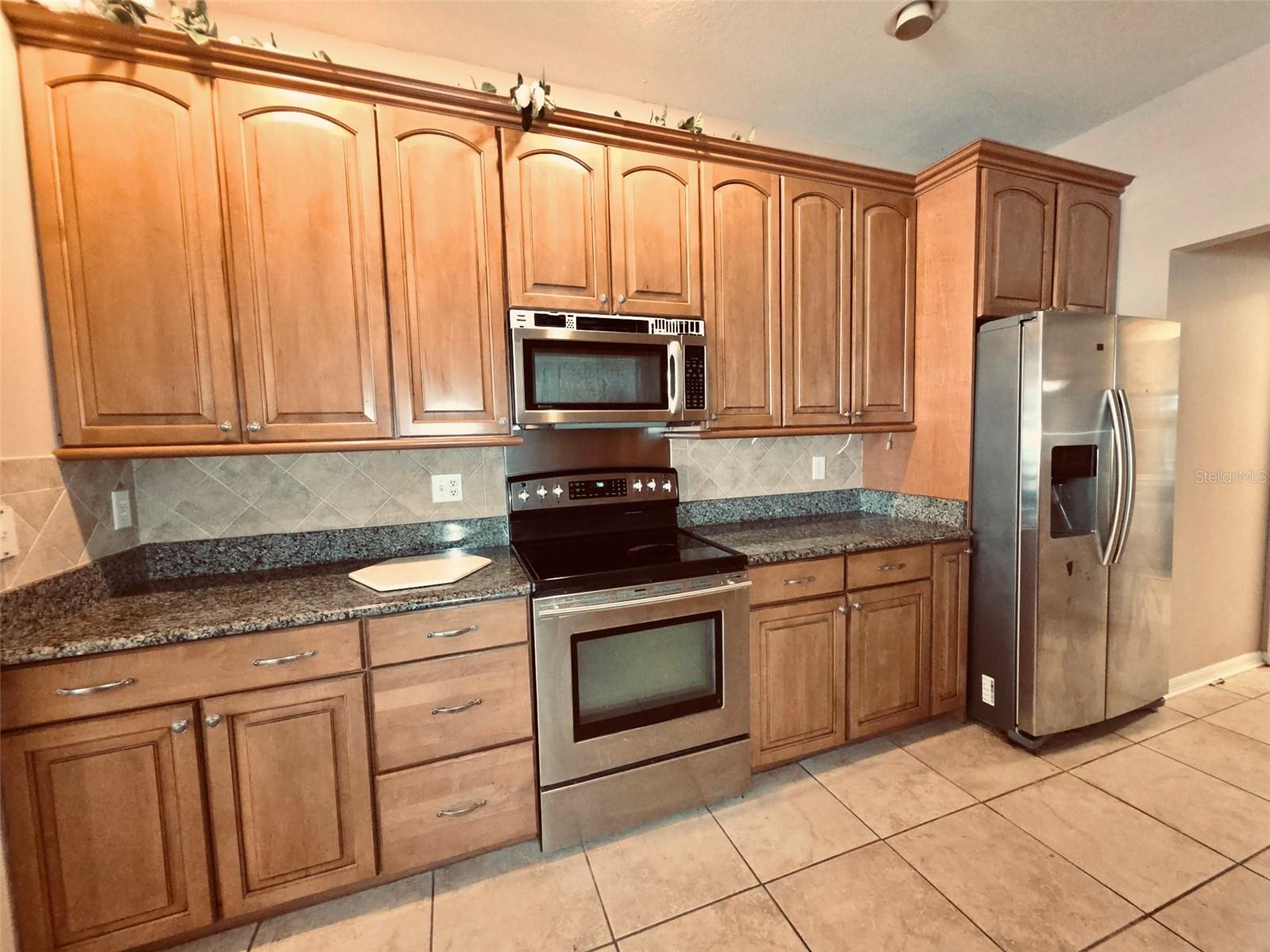 3806 Triple Jump, Valrico, FL 33596