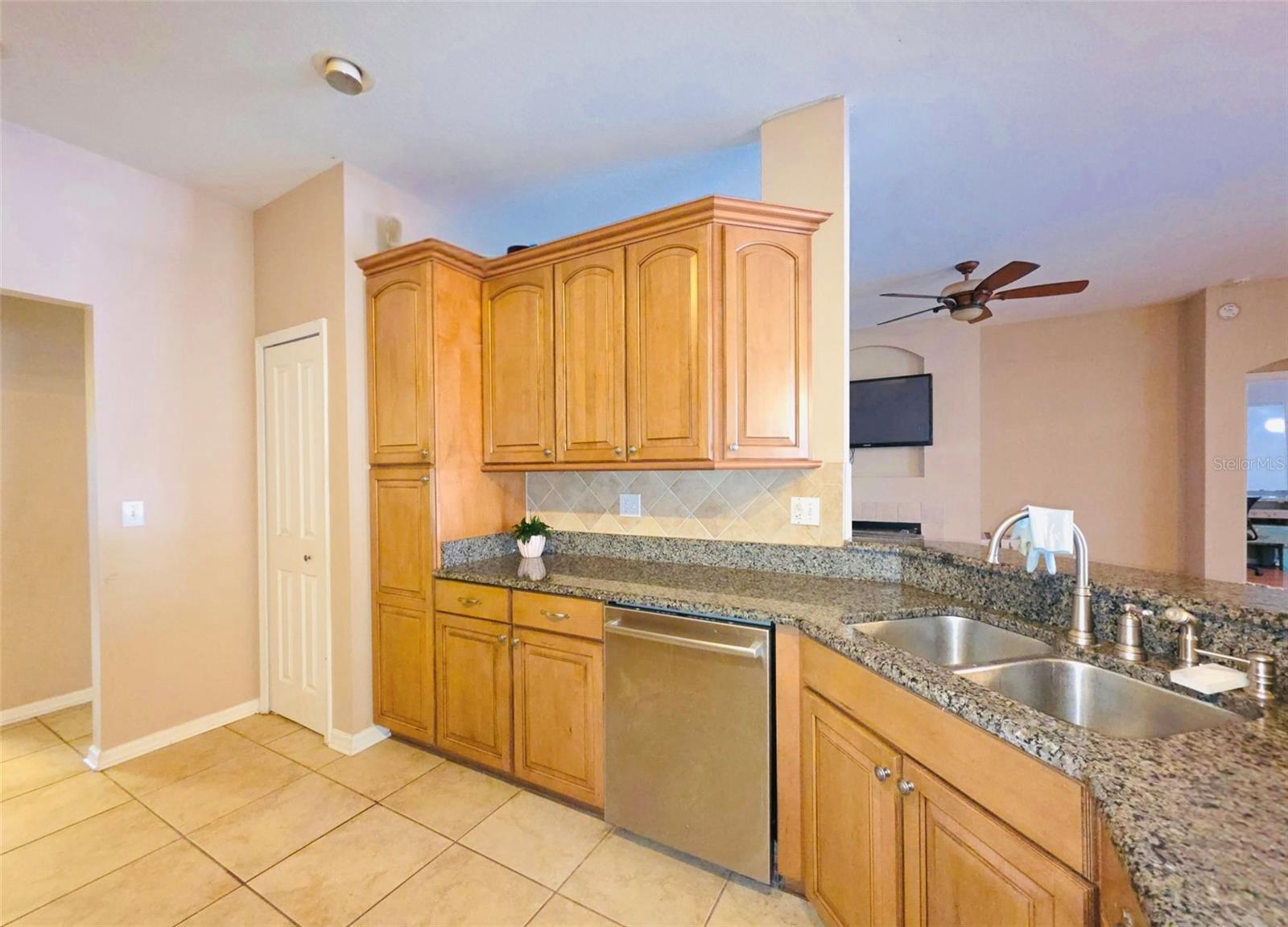 3806 Triple Jump, Valrico, FL 33596