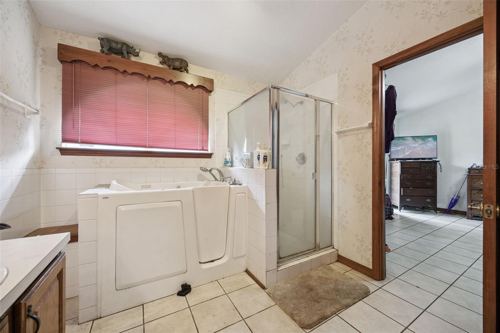 175 White Dove, Orange City, FL 32763