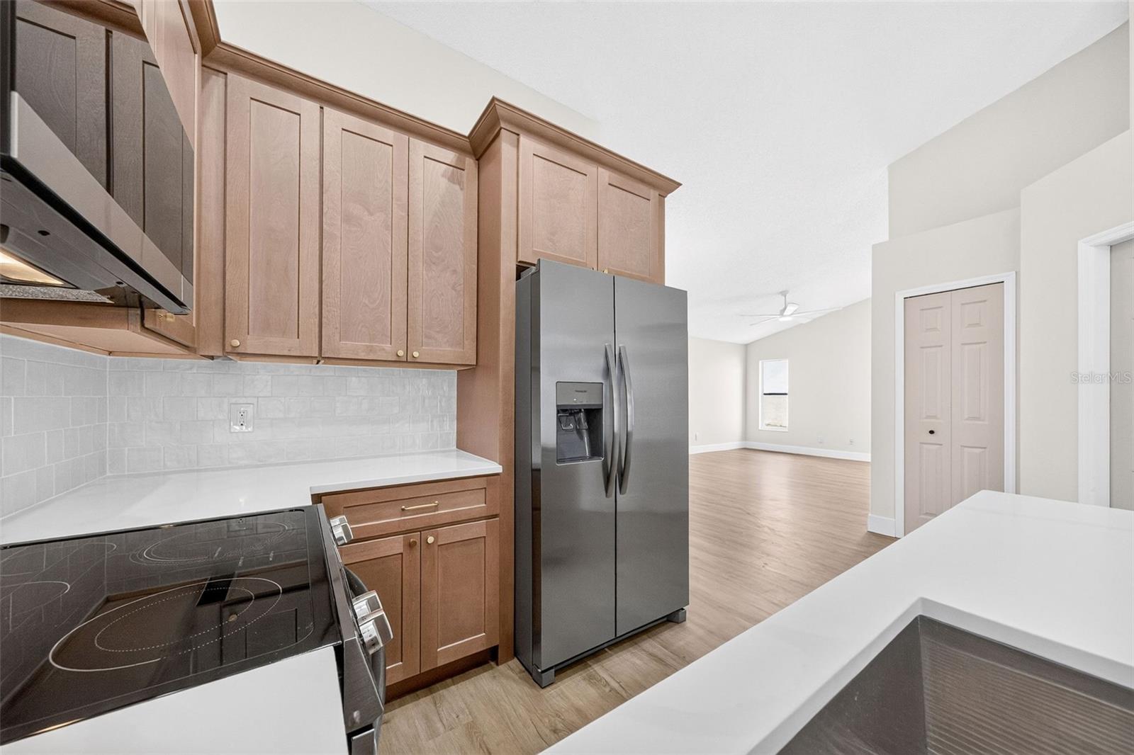 294 Lake Doe, Apopka, FL 32703