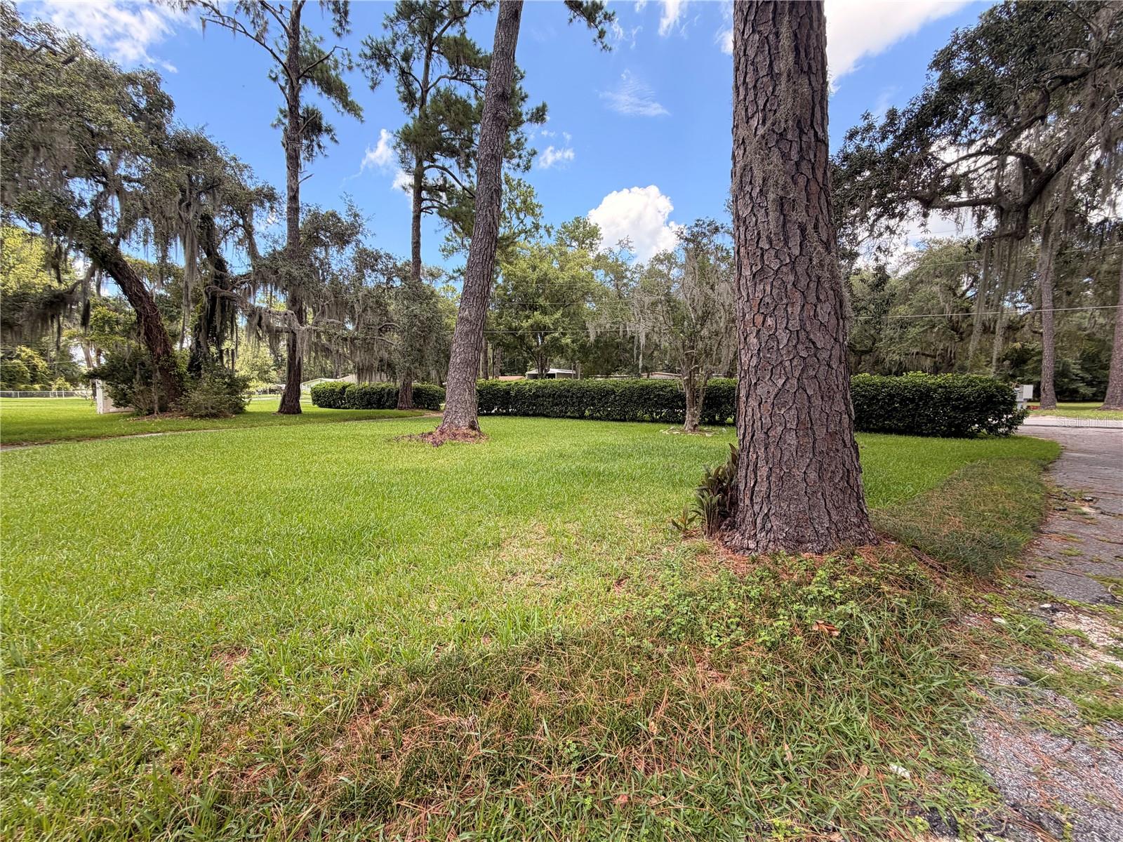 1940 Alice, Astor, FL 32102