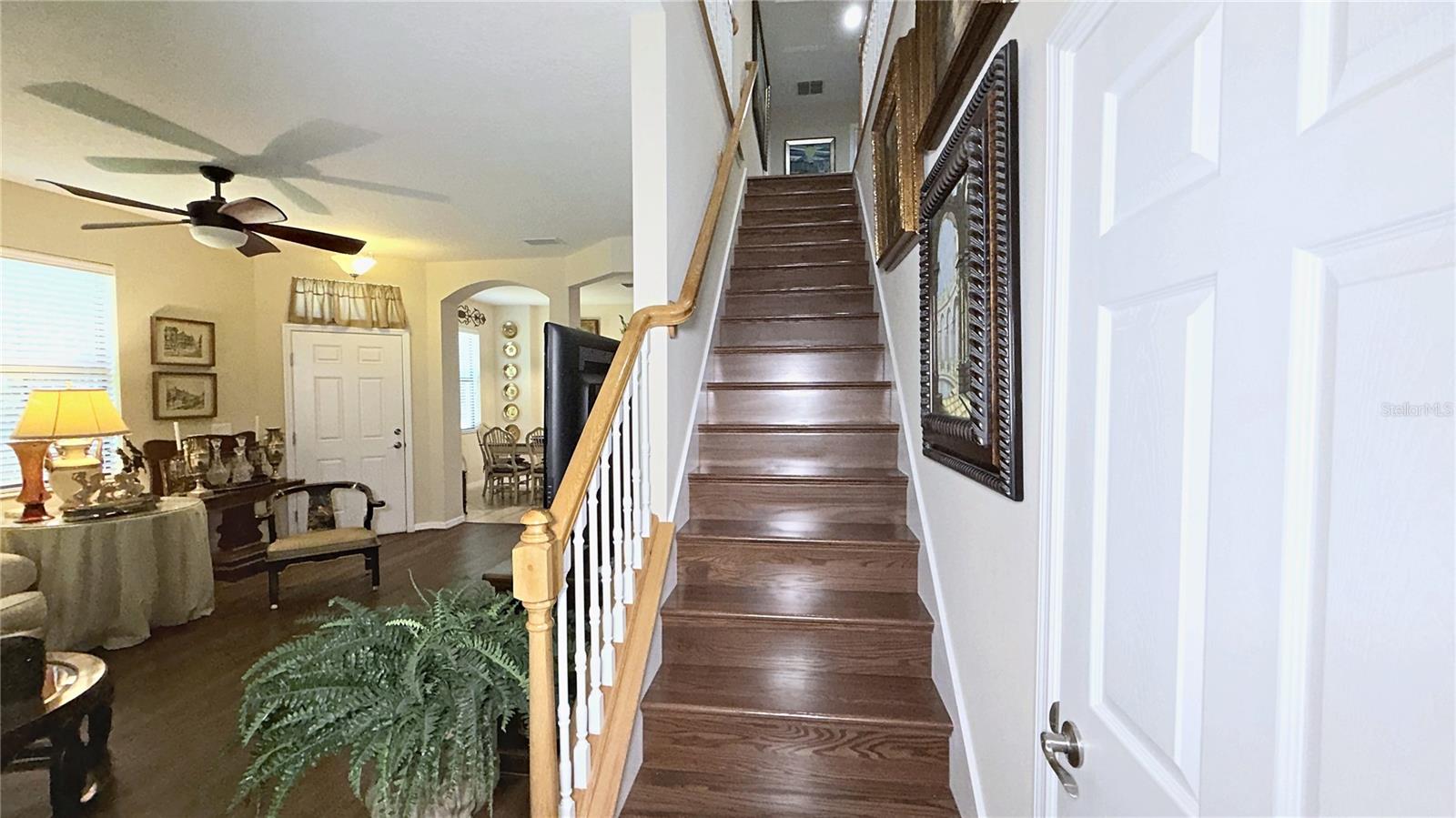 7974 Tasso, Seminole, FL 33777