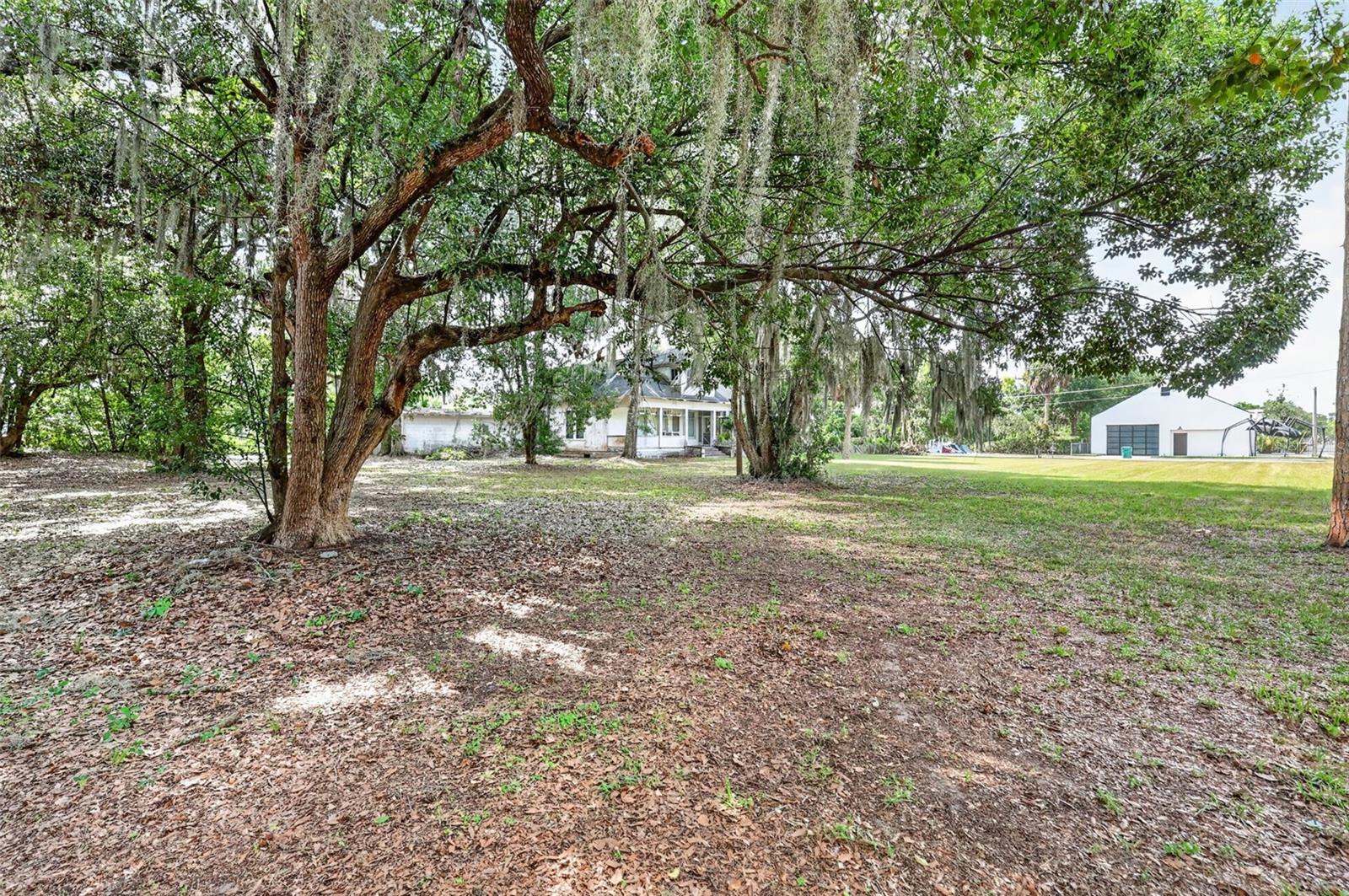 316 Highland, Mount Dora, FL 32757