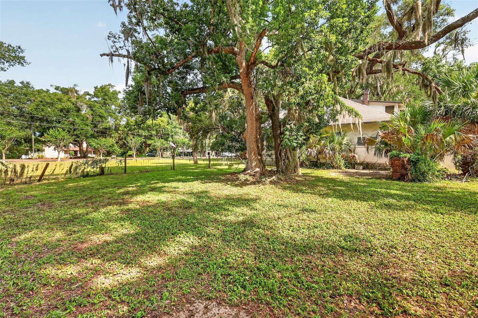 316 Highland, Mount Dora, FL 32757