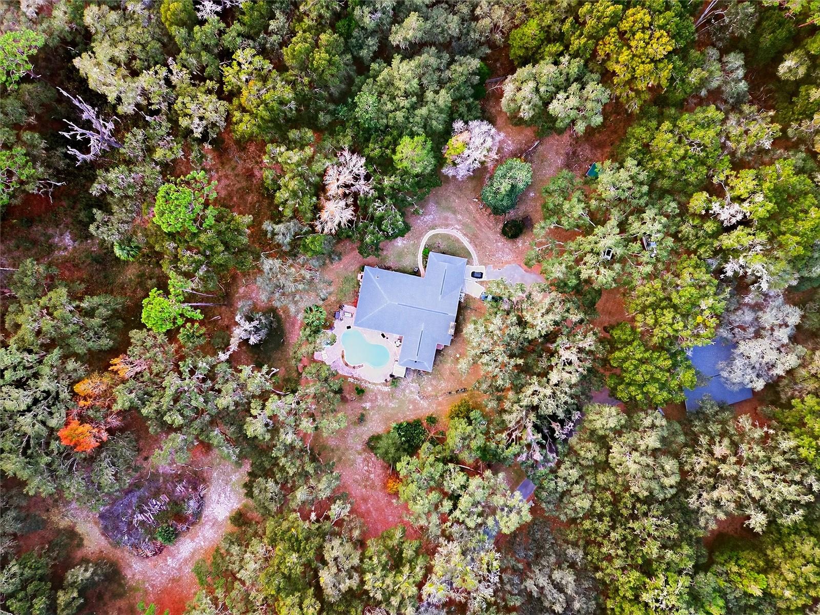 11795 Highway 484, Dunnellon, FL 34432