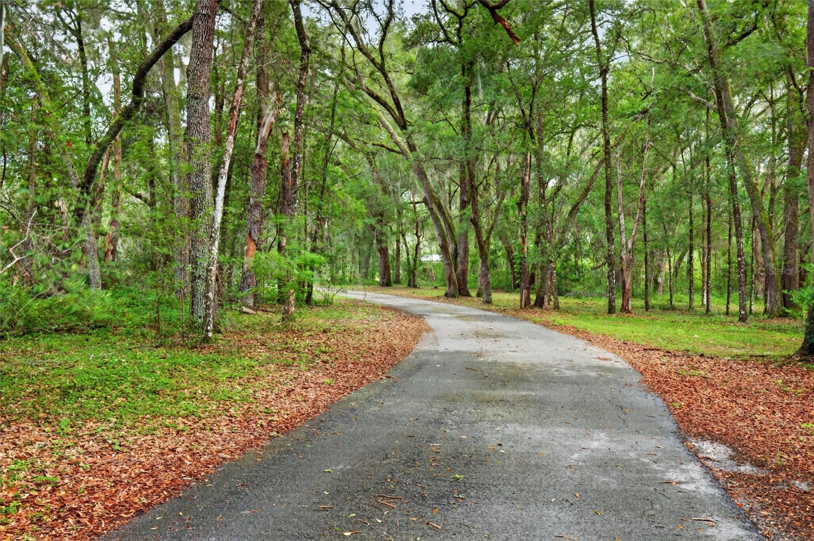 11795 Highway 484, Dunnellon, FL 34432