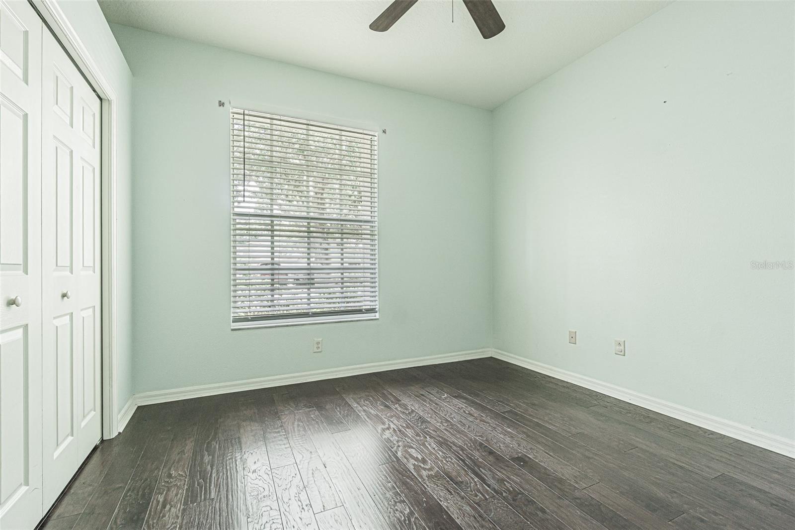 19145 Wood Sage, Tampa, FL 33647