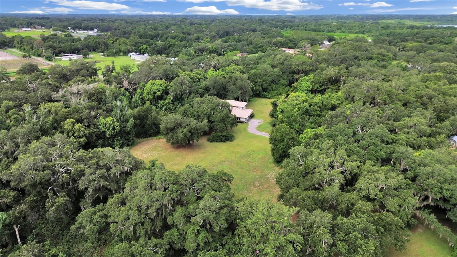 1729 Fats, Seffner, FL 33584