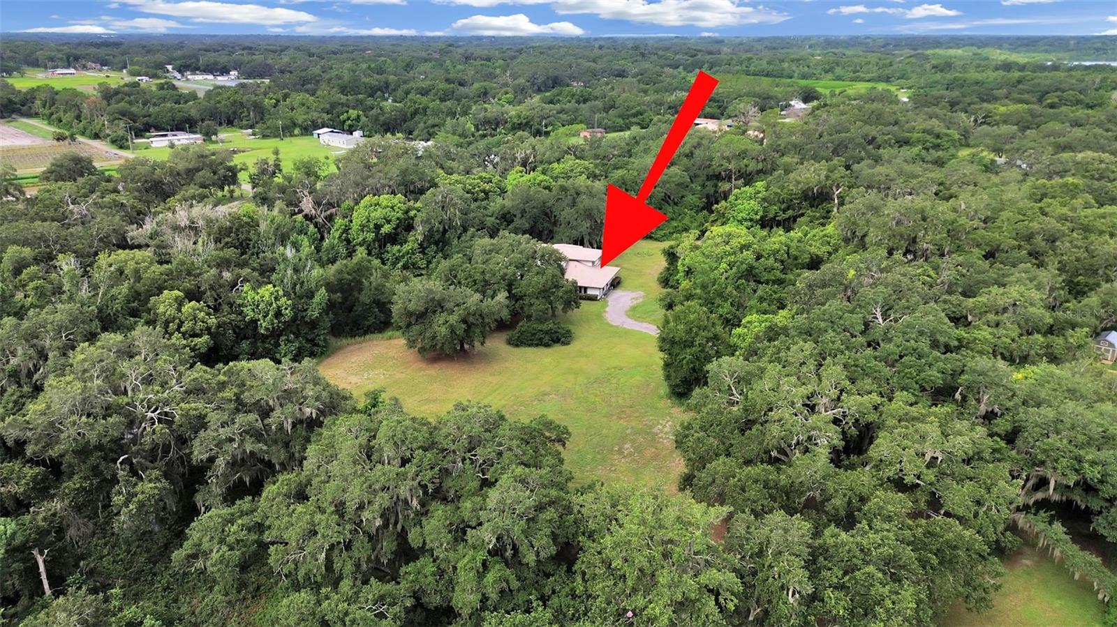 1729 Fats, Seffner, FL 33584