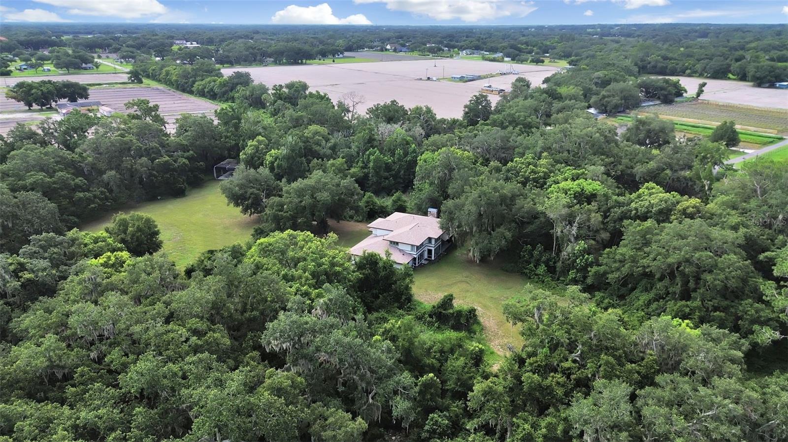 1729 Fats, Seffner, FL 33584