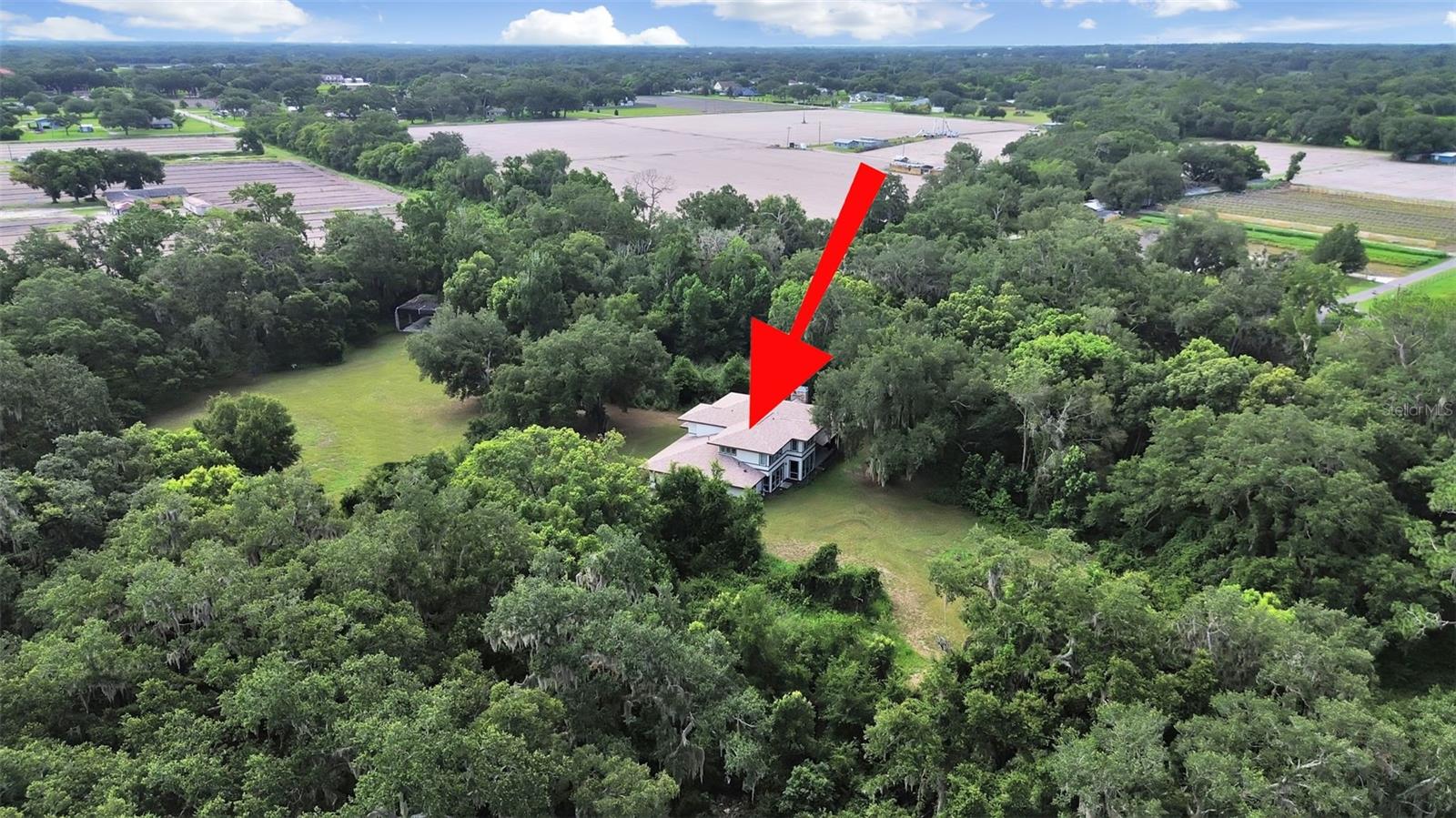 1729 Fats, Seffner, FL 33584