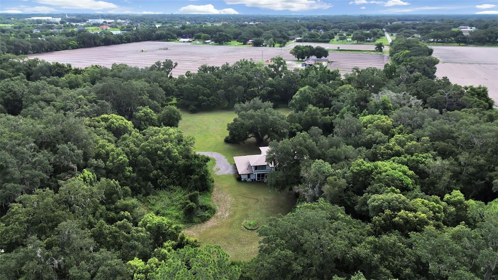 1729 Fats, Seffner, FL 33584