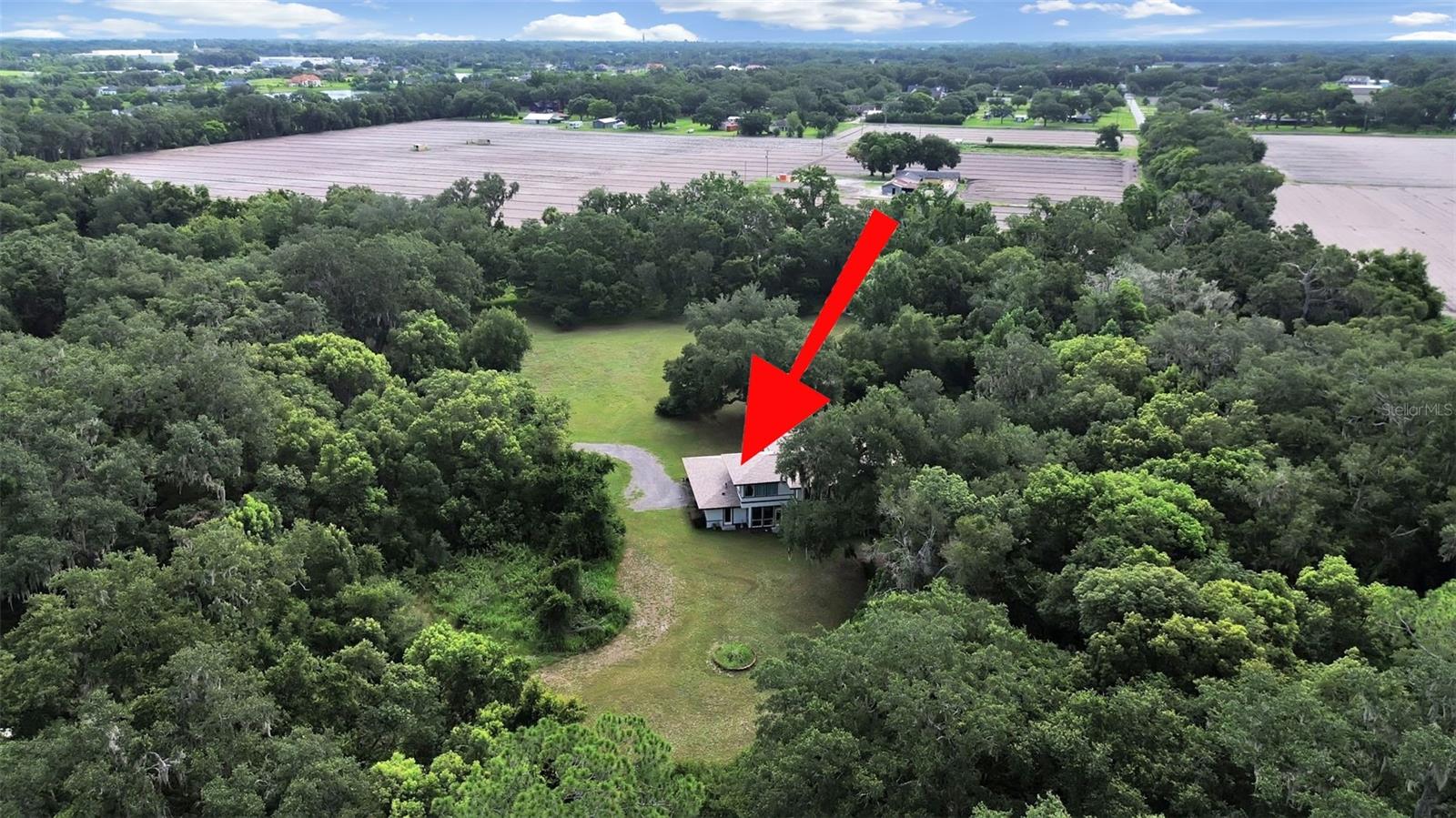 1729 Fats, Seffner, FL 33584