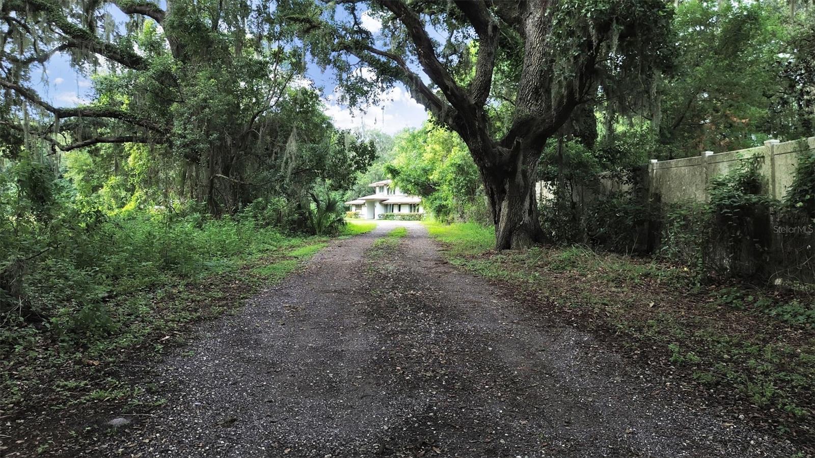 1729 Fats, Seffner, FL 33584