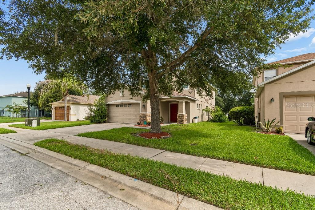 30737 White Bird, Wesley Chapel, FL 33543