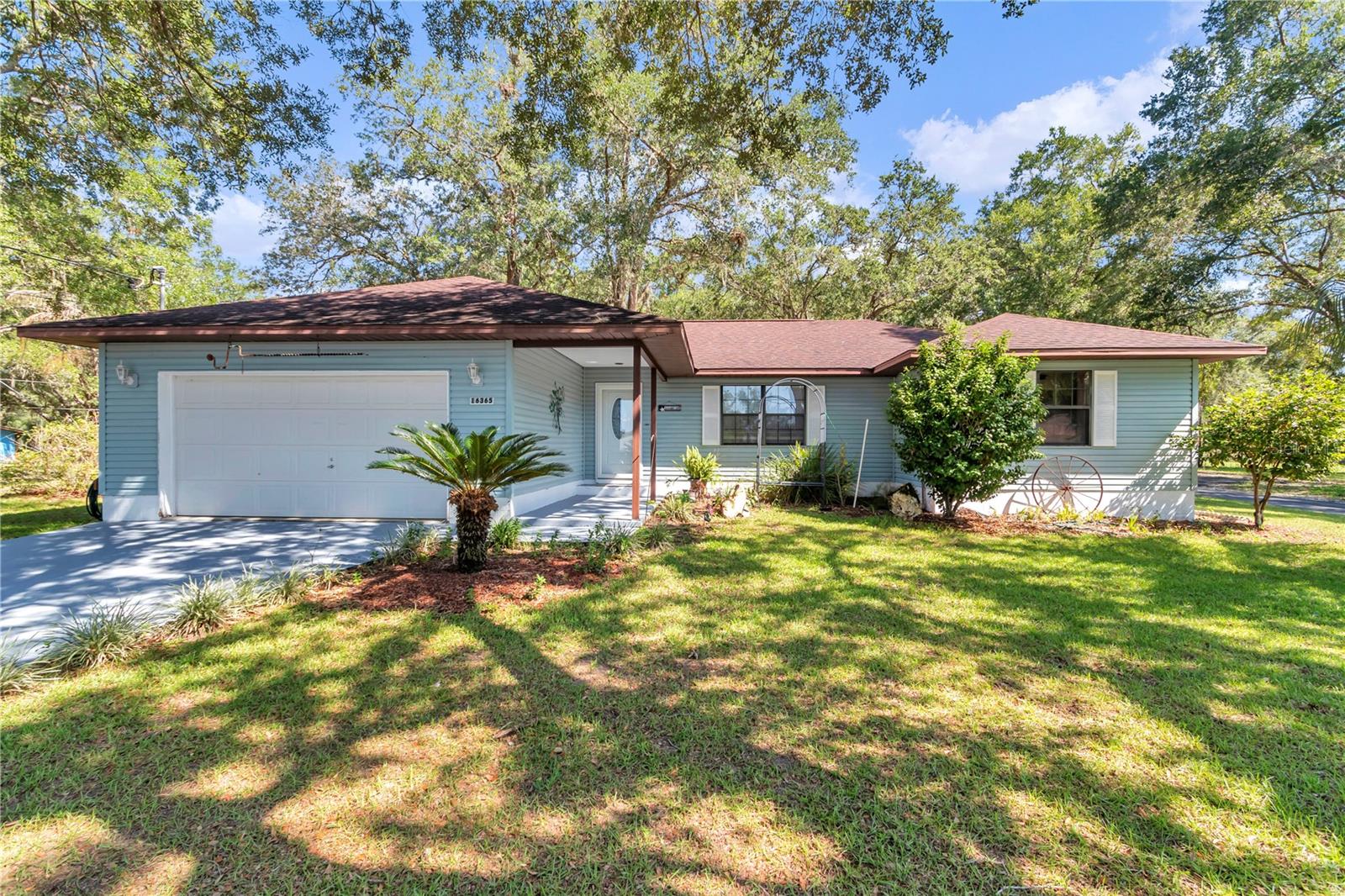 16365 17th, Ocklawaha, FL 32179