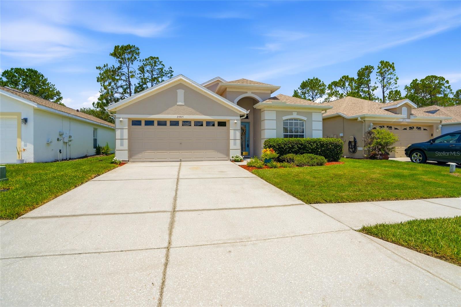 23915 Coral Ridge, Land O Lakes, FL 34639