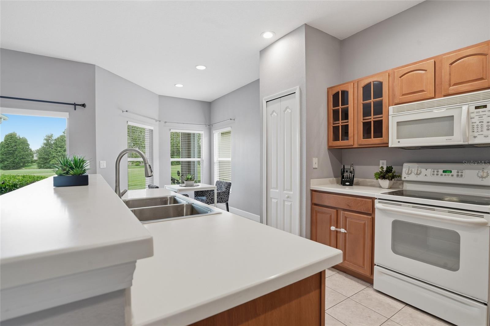 23915 Coral Ridge, Land O Lakes, FL 34639