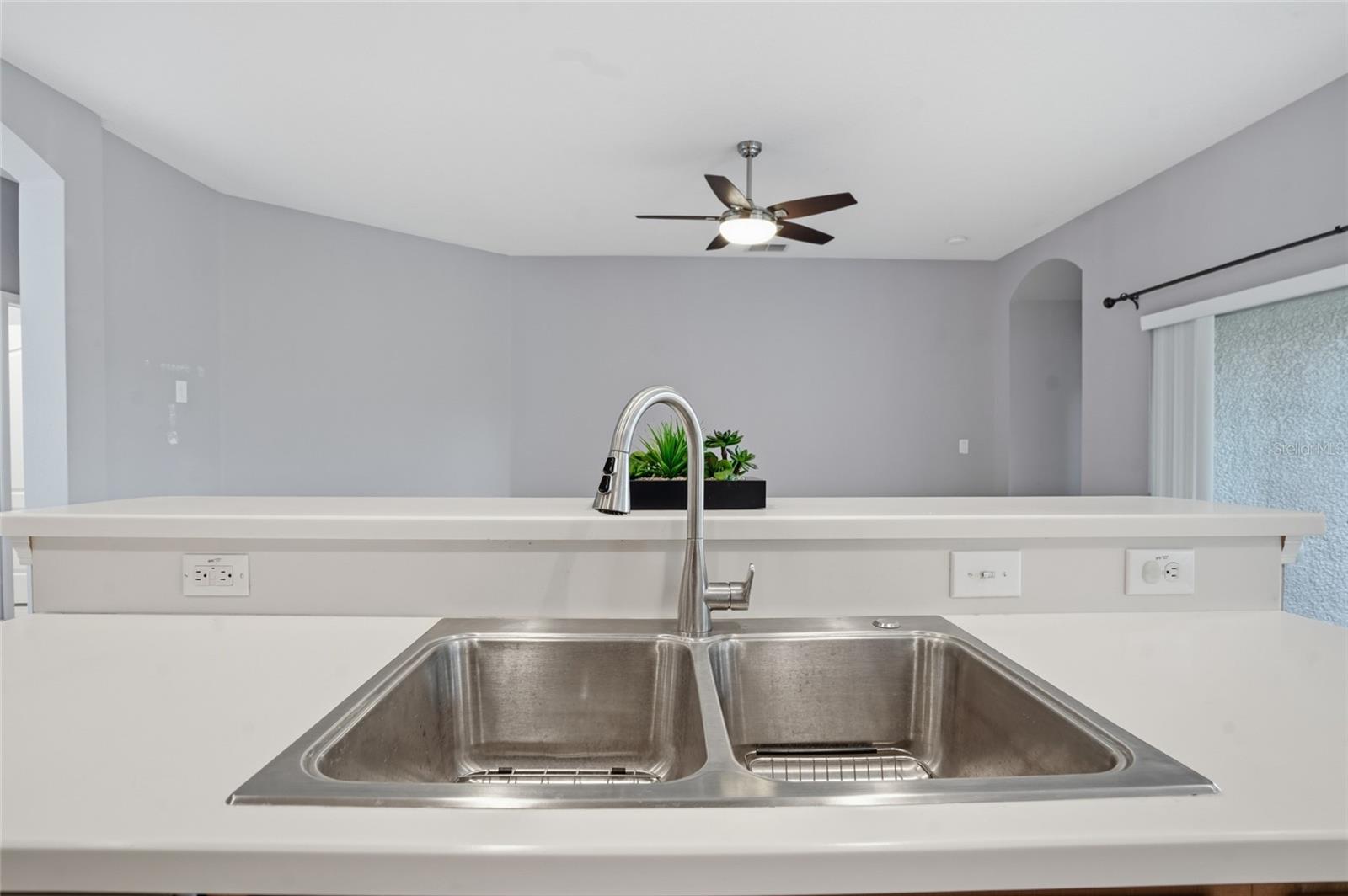 23915 Coral Ridge, Land O Lakes, FL 34639