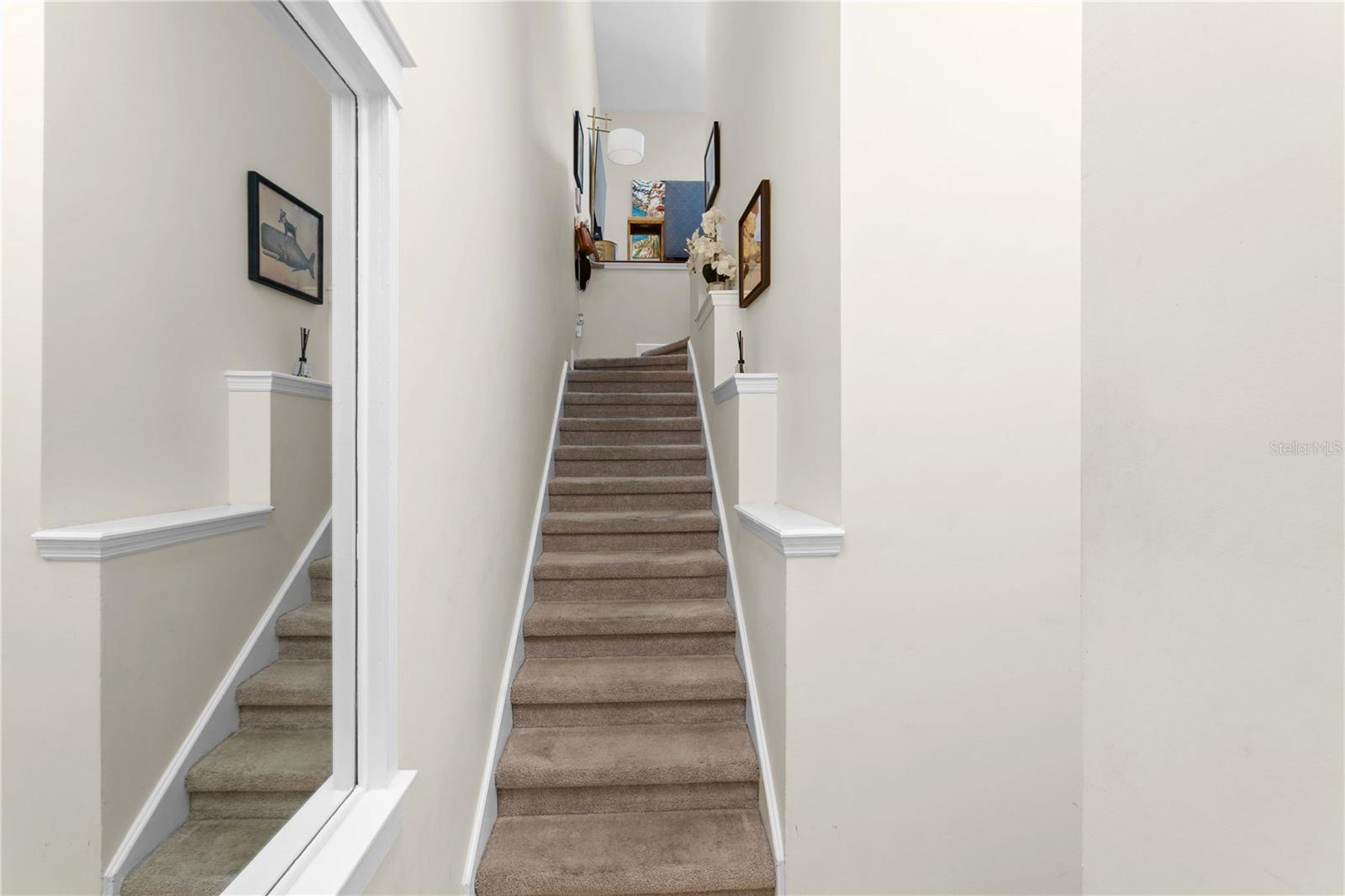 751 Coral Reef, Tampa, FL 33602