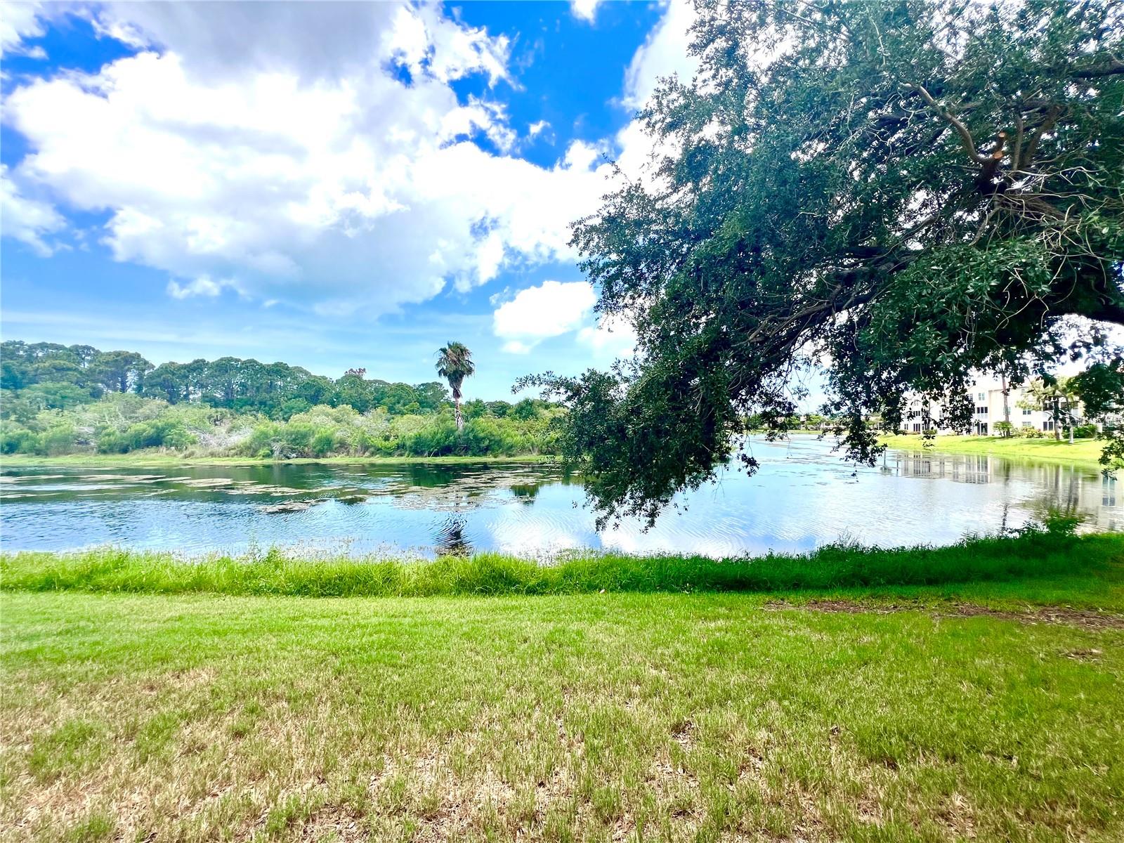 8370 Wingate Unit 726, Sarasota, FL 34238