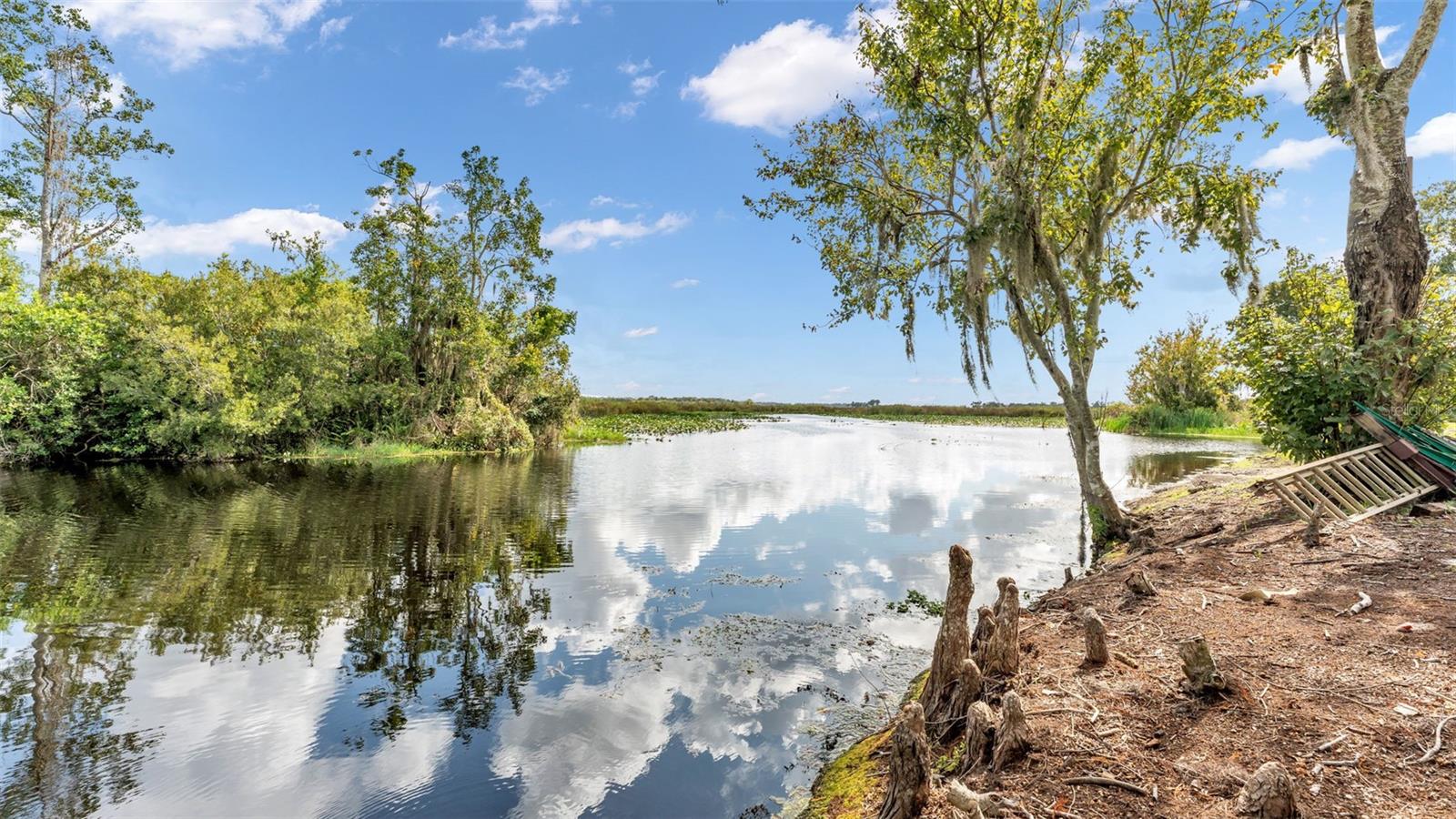 237 Kent, Haines City, FL 33844