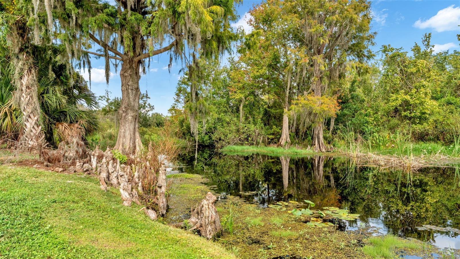 237 Kent, Haines City, FL 33844