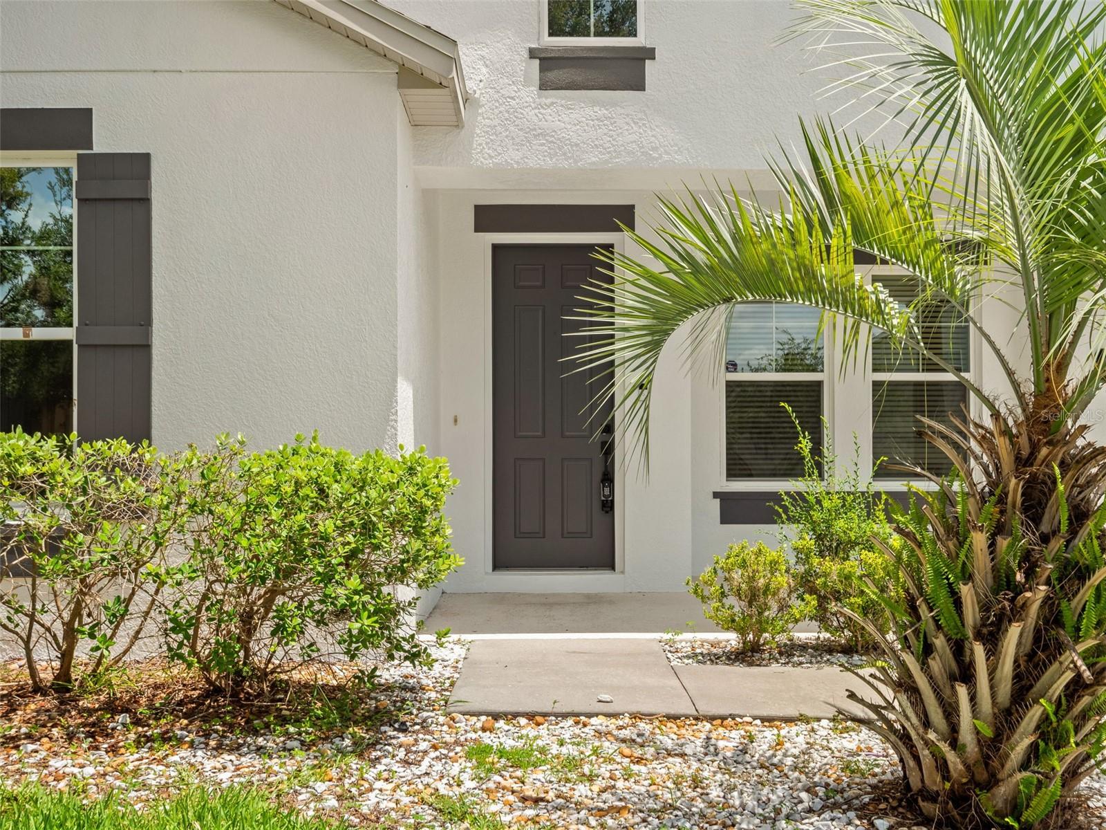 259 Blue Cypress, Groveland, FL 34736