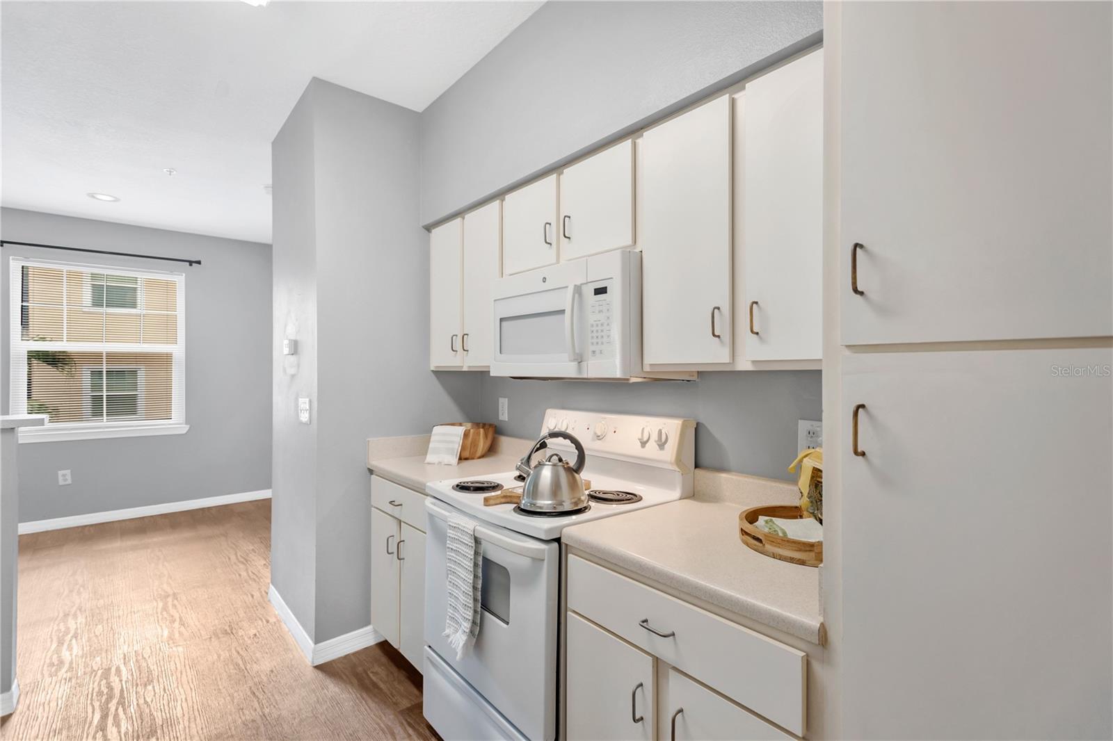 1810 E Palm Ave Unit 6204, Tampa, FL 33605