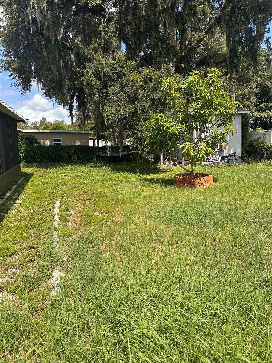 8848 Oak, Tampa, FL 33615