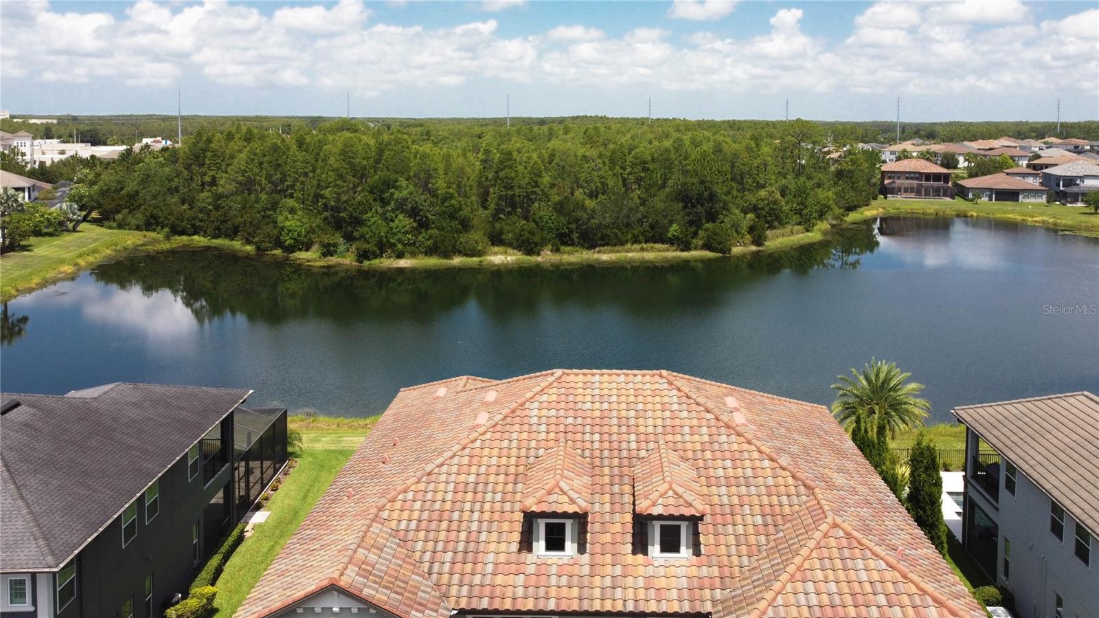 18014 Woodland View, Lutz, FL 33548