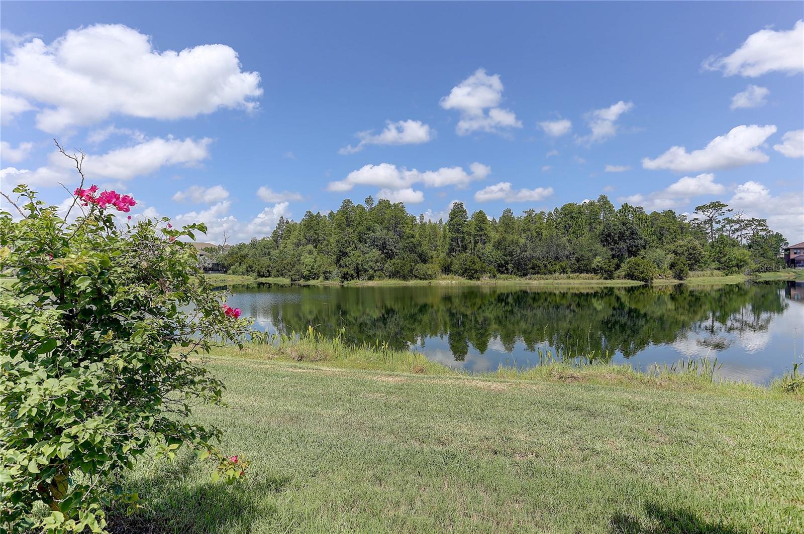 18014 Woodland View, Lutz, FL 33548