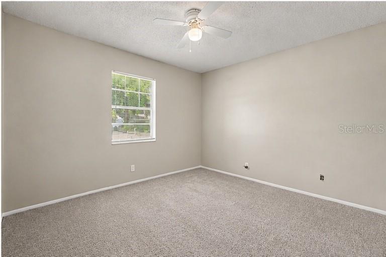 4419 Dolphin Dr, Tampa, FL 33617