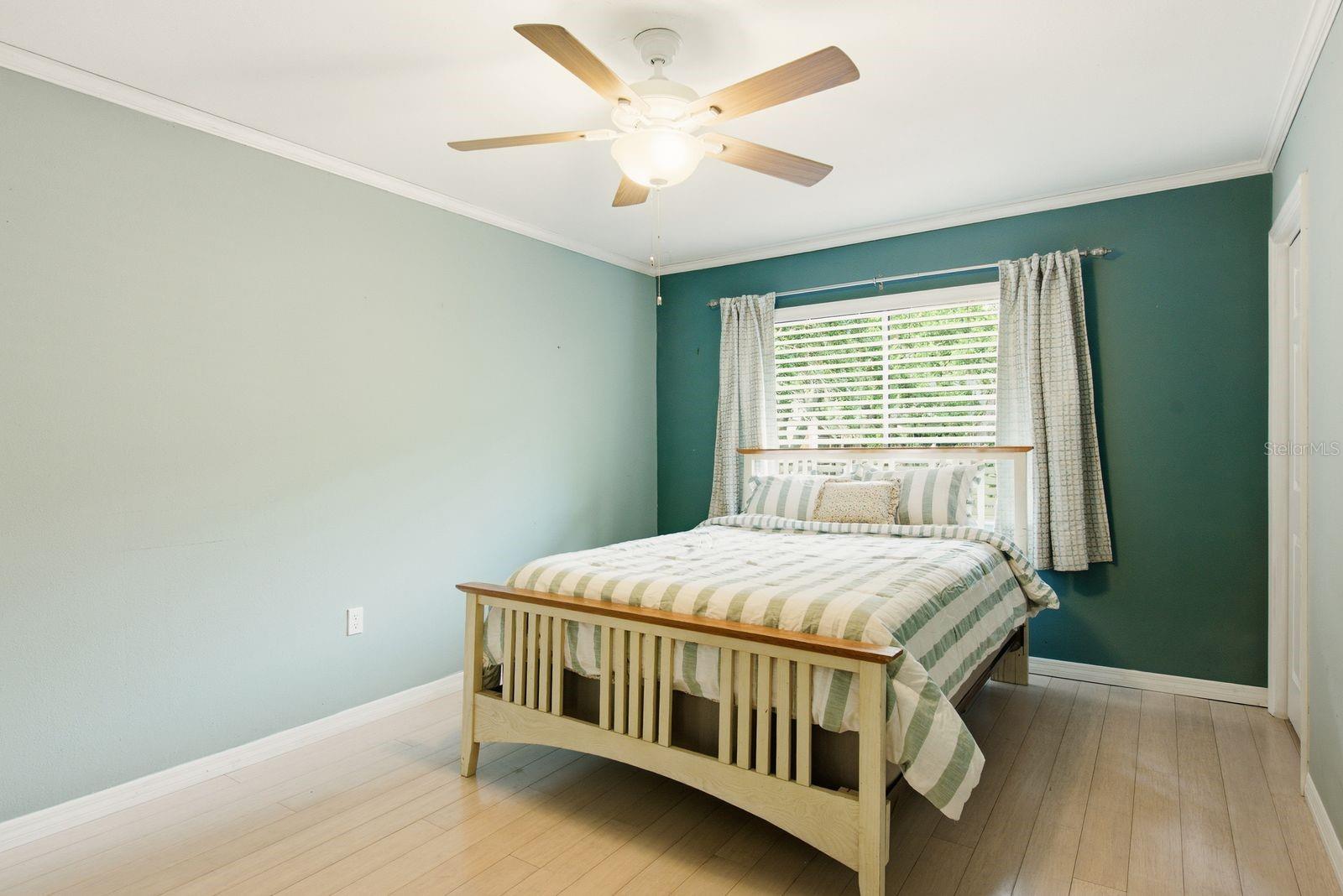 511 Mistletoe Unit C, Safety Harbor, FL 34695
