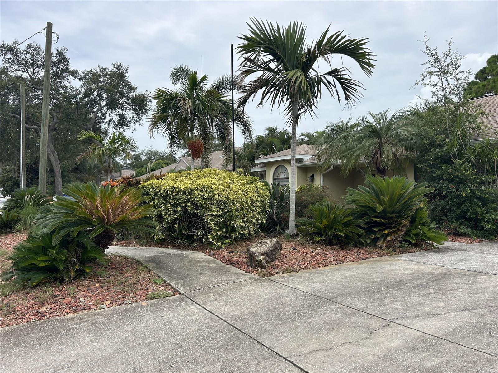 1612 Gulf Beach, Tarpon Springs, FL 34689