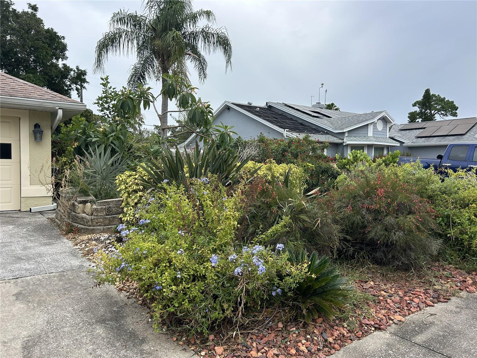 1612 Gulf Beach, Tarpon Springs, FL 34689